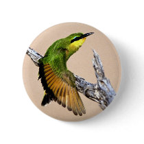 Beautiful Bird buttons