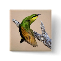Beautiful Bird buttons
