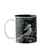 Beautiful Bird mugs