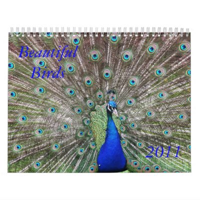 Beautiful Birds Calendar by tonigl