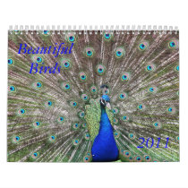 Beautiful Birds Calendar
