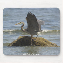 BEAUTIFUL BIRDS II Collection mousepads