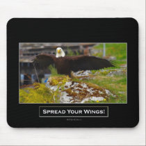 BEAUTIFUL BIRDS II Collection mousepads