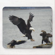 BEAUTIFUL BIRDS II Collection mousepads