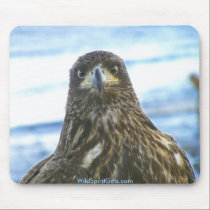 BEAUTIFUL BIRDS II Collection mousepads