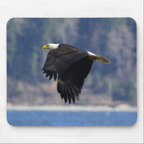 BEAUTIFUL BIRDS II Collection mousepads