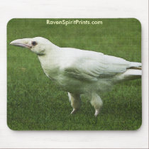 BEAUTIFUL BIRDS II Collection mousepads