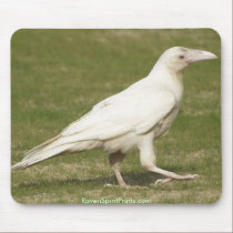 BEAUTIFUL BIRDS II Collection mousepads