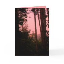 Beautiful Birthday Wishes Greeting Card by pammys Beautiful Birthday Wishes Greeting Card