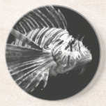 Beautiful Black and White Lionfish Coaster