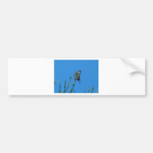 Beautiful Black And White Swallowtail Butterfly Bumper Stickers