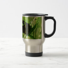 Beautiful black butterfly sunning on grass coffee mugs