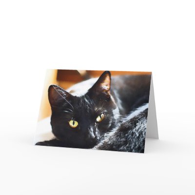 Beautiful Black Cat Card by SophiaDeer