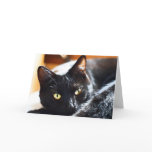 Beautiful Black Cat Card