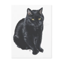 Beautiful Black Cat Postcards