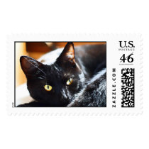 Beautiful Black Cat (Stamps) by SophiaDeer Beautiful Black Cat (Stamps)