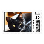 Beautiful Black Cat (Stamps)