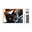 Beautiful Black Cat (Stamps)