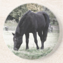Beautiful Black Horse Beverage Coaster