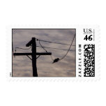 Beautiful Black Kookaburra Silhouette Sitting On P Stamp