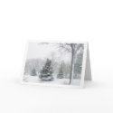 Beautiful Blizzard cards