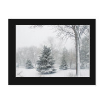 Beautiful Blizzard Postcard by ZellaDesigns Beautiful Blizzard Postcard
