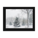 Beautiful Blizzard Postcard - Customized