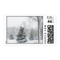 Beautiful Blizzard Stamp