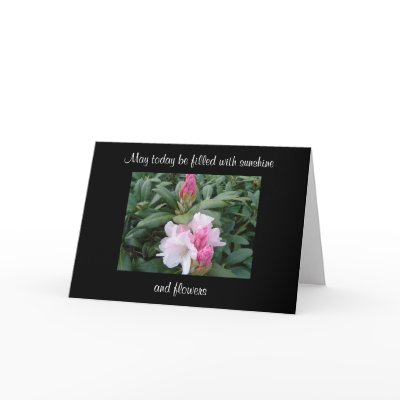 Beautiful Blooms Encouragement Flowers Greeting Cards by seashell2