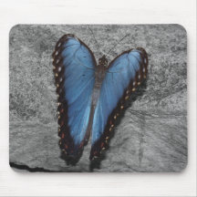 Beautiful Blue Butterfly Mouse Mat