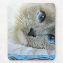 Beautiful blue eyed cat mouse pad