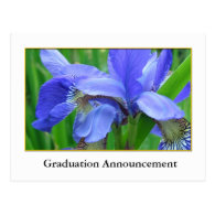 Beautiful blue iris flower graduation announcement post card