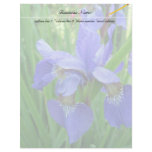 beautiful blue iris flowers letterhead template