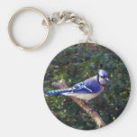 Beautiful Blue Jay Key Chain