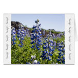 Beautiful blue lupina greeting card