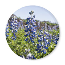 Beautiful blue lupina refrigerator magnet