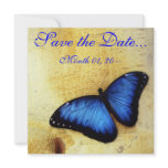Beautiful Blue Morpho Butterfly Announcements