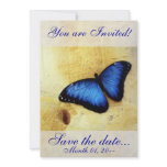 Beautiful Blue Morpho Butterfly Invitations