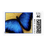Beautiful Blue Morpho Butterfly Stamps