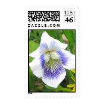 Beautiful Blue Postage postage