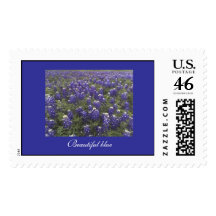 Beautiful Blue Postage