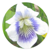 Beautiful Blue stickers