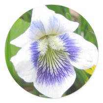 Beautiful Blue stickers