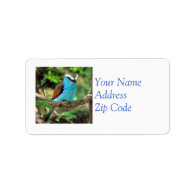 Beautiful Bluebird Mailing Label
