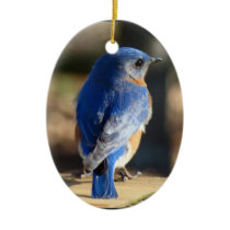 Beautiful Bluebird Christmas Ornament