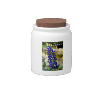 Beautiful Bluebonnet Texas Candy Jar