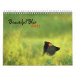 Beautiful Blur 2011 calendar