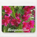 Beautiful Bougainvillea  Gifts Mouse Pads