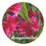 Beautiful Bougainvillea  Gifts Round Sticker