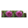 Beautiful Bourbon Rose 'Louise Odier' Bumper Stickers